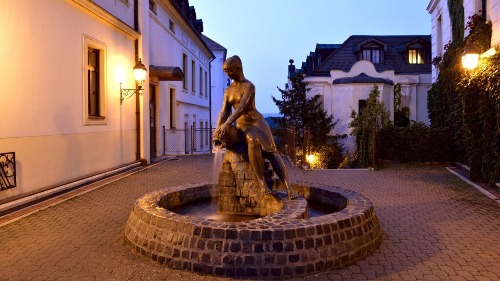munkasszallo-Veszprem_pic5
